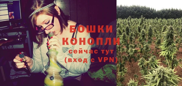 метадон Новозыбков