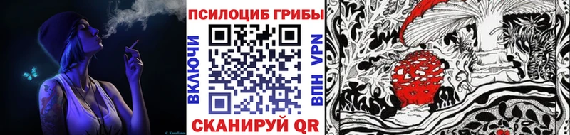 MEGA онион  Кизляр  Галлюциногенные грибы Magic Shrooms 