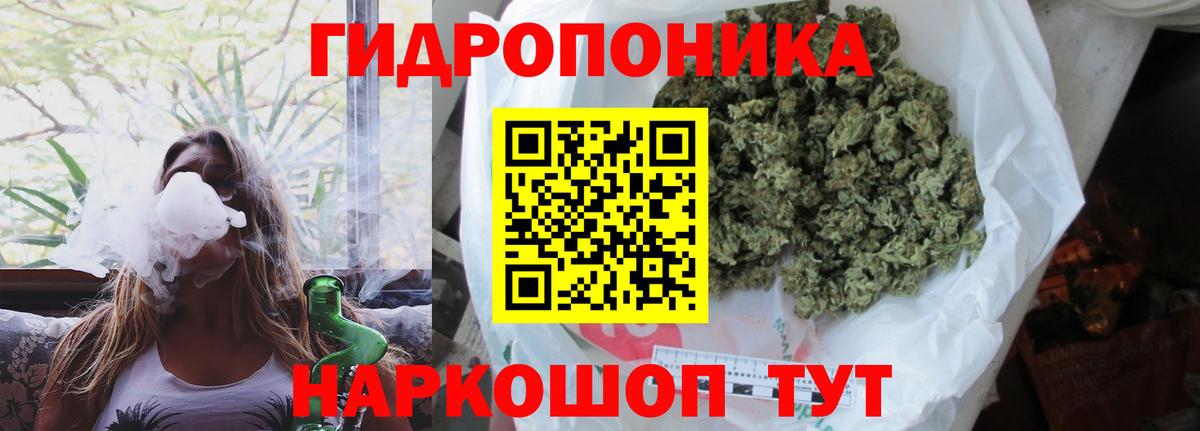 Конопля Кизляр
